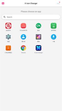 X Icon Changer改图标图3