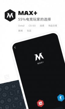 Max+图1